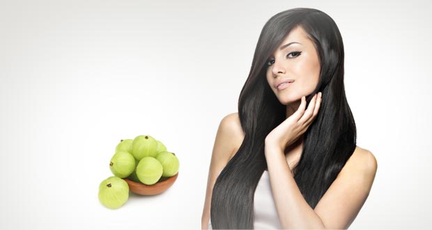 Image result for amla hair