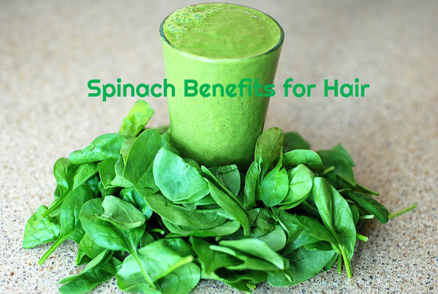 Spinach Benefits for Hair