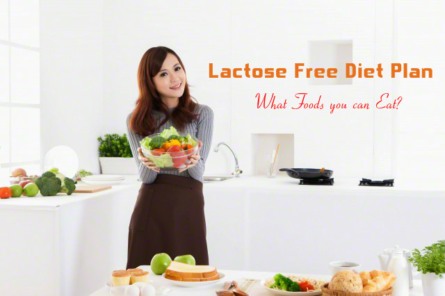 a lactose free diet