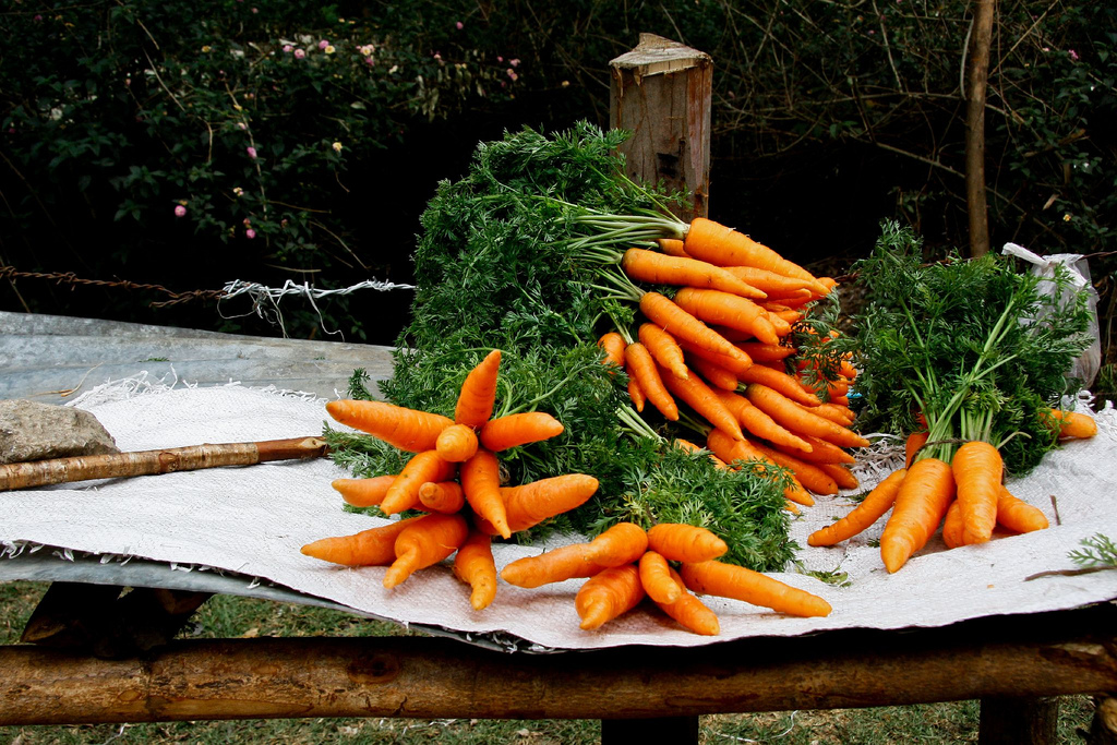 Carrots - Vitamin A - pink Lips