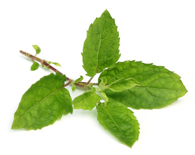 Tulsi Leaves mask for fair and glowing skin