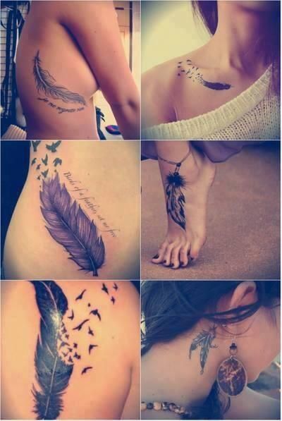 Collection of Feather Tattoo Designs