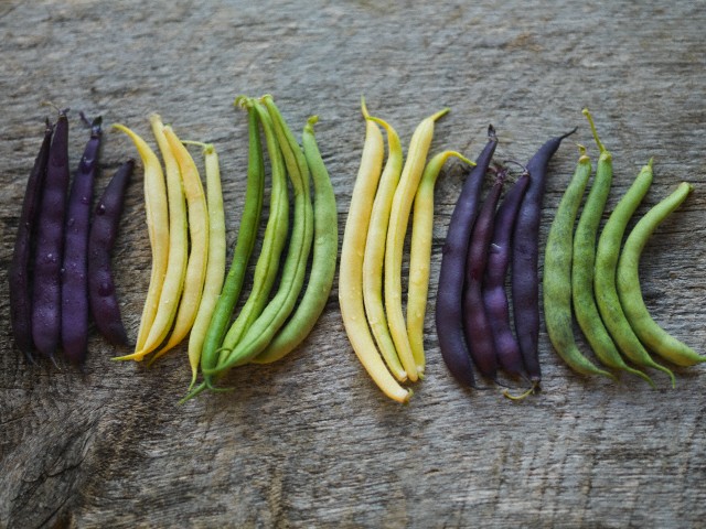 Legumes Healthy Diet - Black, Green , Yellow beans