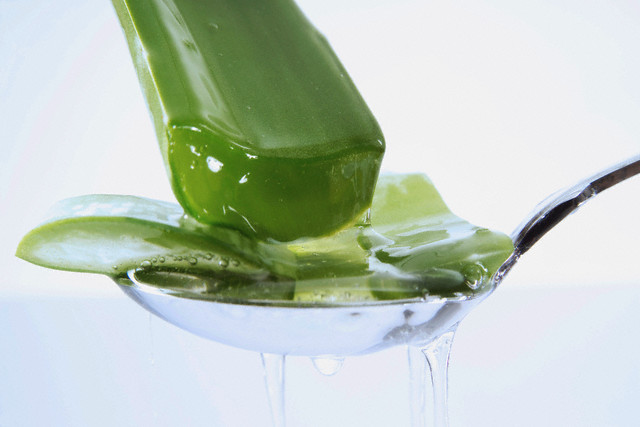 How does Drinking Aloe Vera Juice help you Lose Weight ...