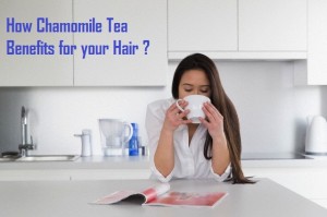 Chamomile tea benefits Hair