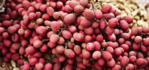 Litchis or Lychee Fruit benefits Skin