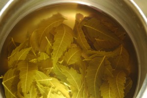 Neem Extracts cure Health diseases
