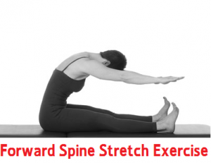 Forward Spine Stretch