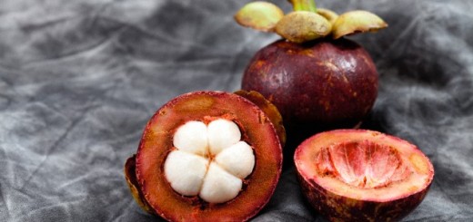 Mangosteen benefits skin health