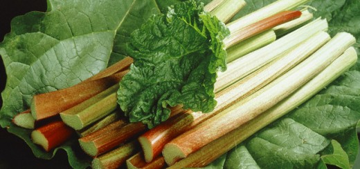 Rhubarb benefits skin health