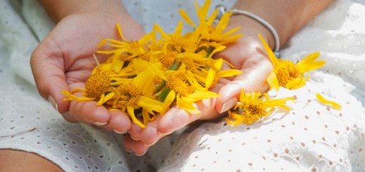 Arnica Montana benefits