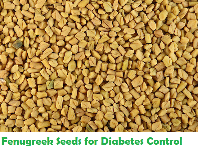 Fenugreek seeds for diabetes.png
