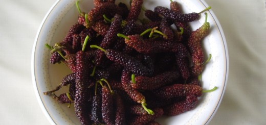 Mulberries Benefits and uses