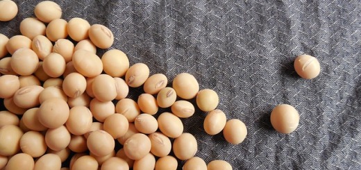 Soy Protein benefits uses