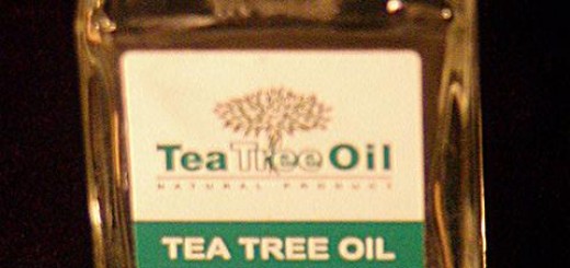 Tea tree oil benefits uses