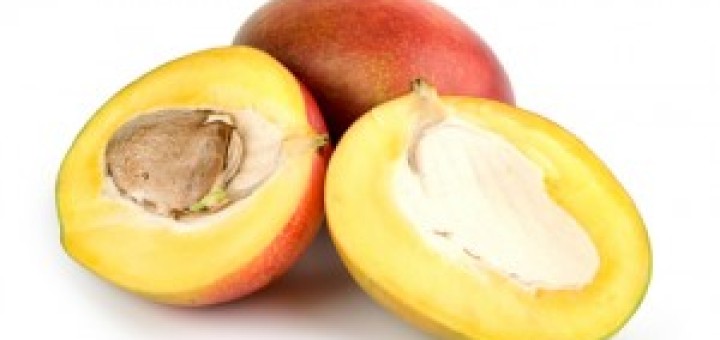 mango seeds benefits uses