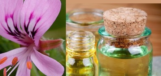 Geranium Oil benefits skin health