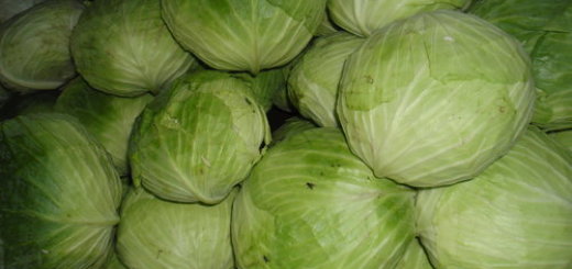 cabbage benefits skin health