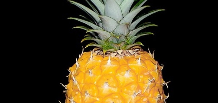 pineapple diet for weight loss