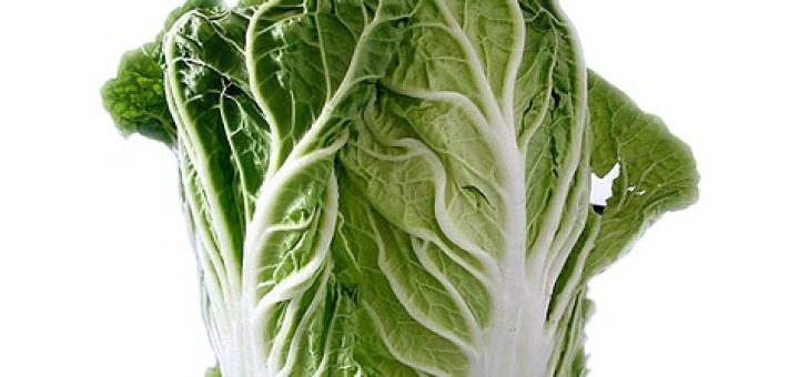 Chinese Cabbage benefits uses