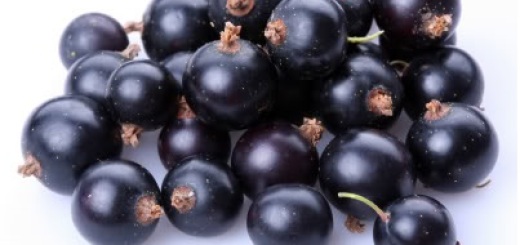 acai berry benefits uses