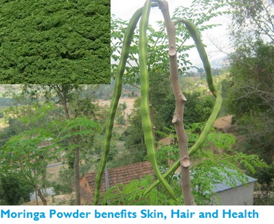 moringa powder benefits uses