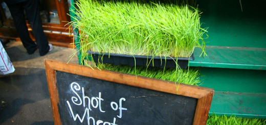 wheatgrass benefits uses skin