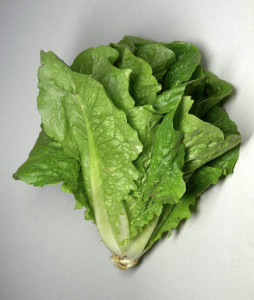 Lettuce Benefits Uses for Skin