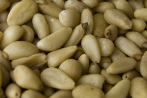 pine nuts benefits uses
