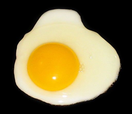 Egg White Benefits
