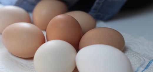 Eggs Nutrition Facts Analysis