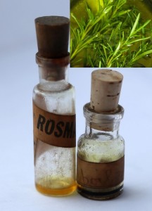 Rosemary Oil Benefits Uses