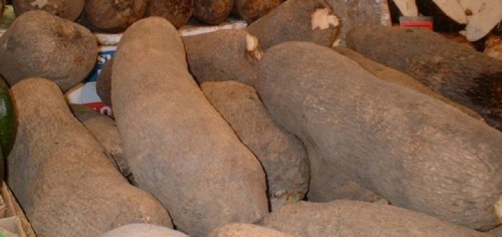 Yam Benefits Uses