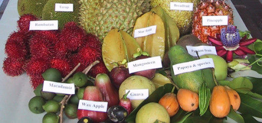 Tropical Fruits Benefits Skin