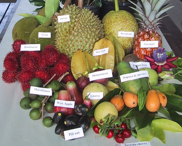 Tropical Fruits Benefits Skin