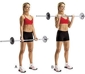 Standing Curl Barbell Exercise