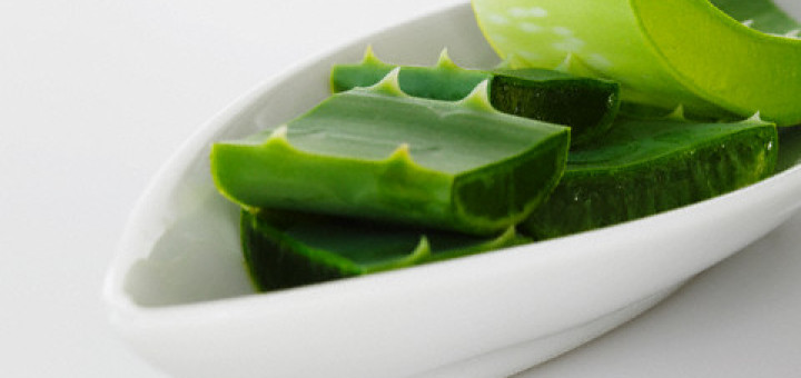 Aloe Vera Health Benefits