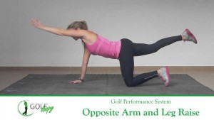 Opposite arm and leg raise