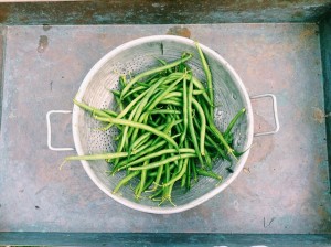 French Beans Benefits Uses
