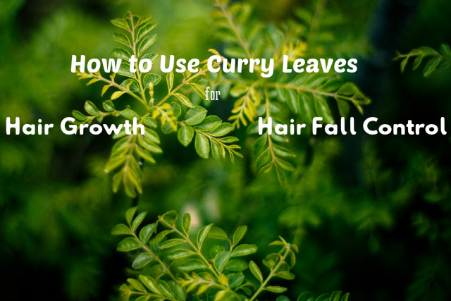 Curry Leaves for Hair