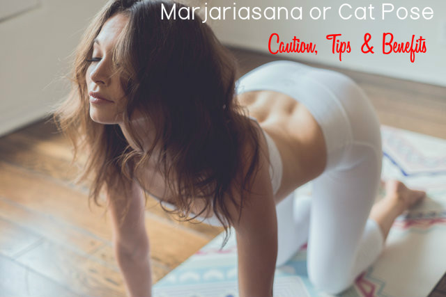 Marjariasana or Cat Pose Steps