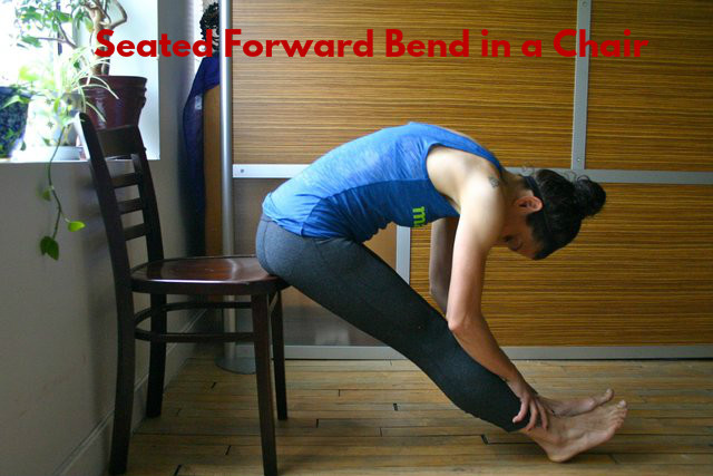 Seated forward bend in a chair