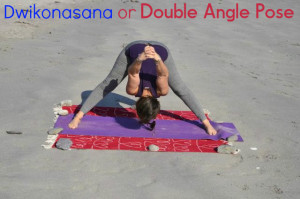 Dwikonasana or Double Angle Pose