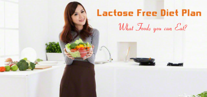 Lactose Free Diet Foods