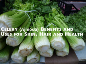 Celery (Ajmoda) Benefits Uses