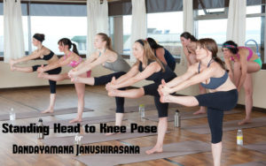 Standing Head to Knee Pose