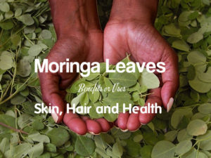 Moringa Leaves Benefits Uses