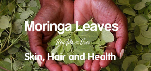 Moringa Leaves Benefits Uses