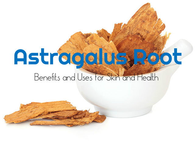Astragalus Root Benefits Skin Health