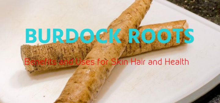Burdock Roots Benefits Uses
